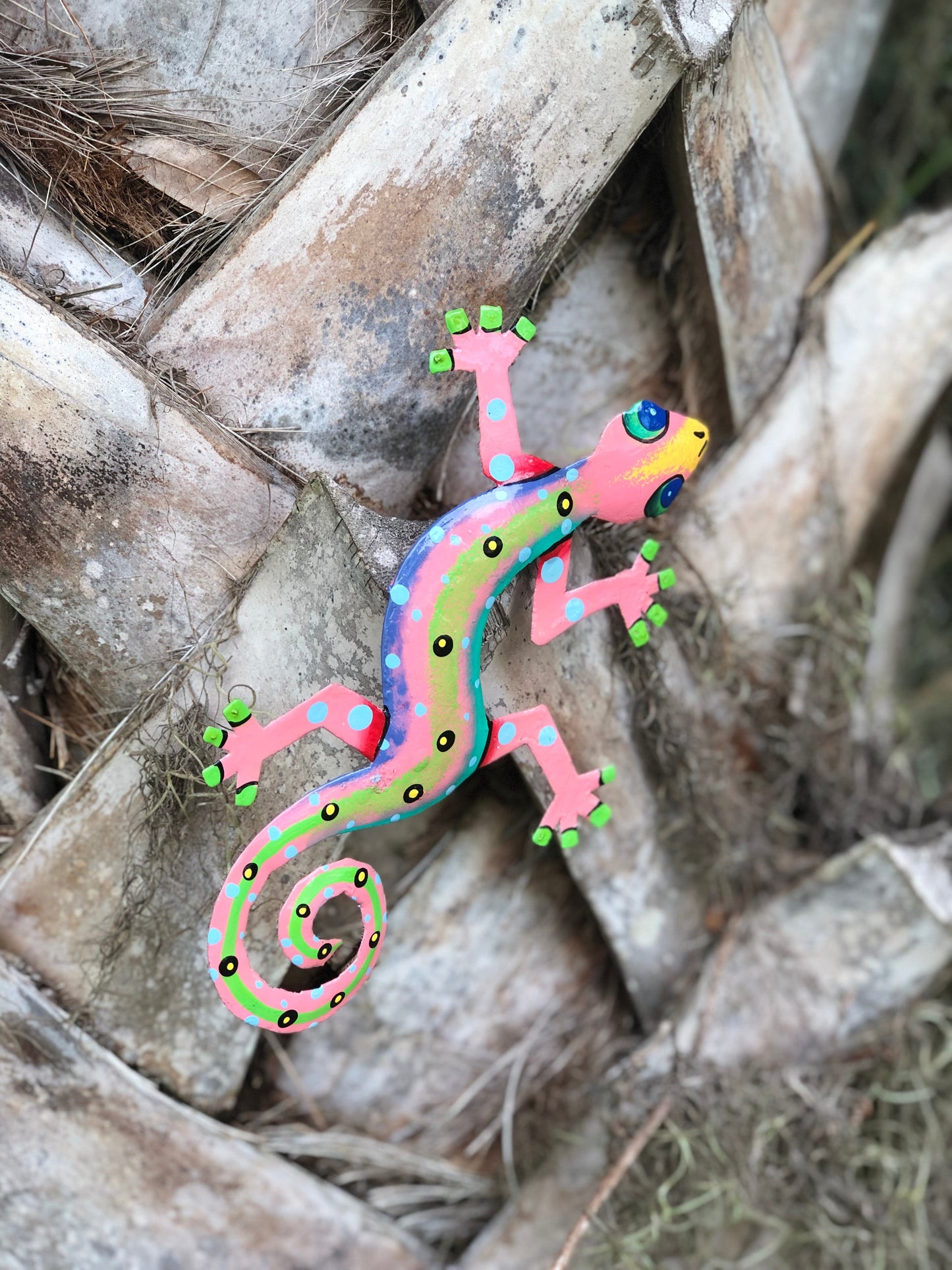 colorful-gecko-haitian-steel-drum-wall-art-13-inch-polka-dots