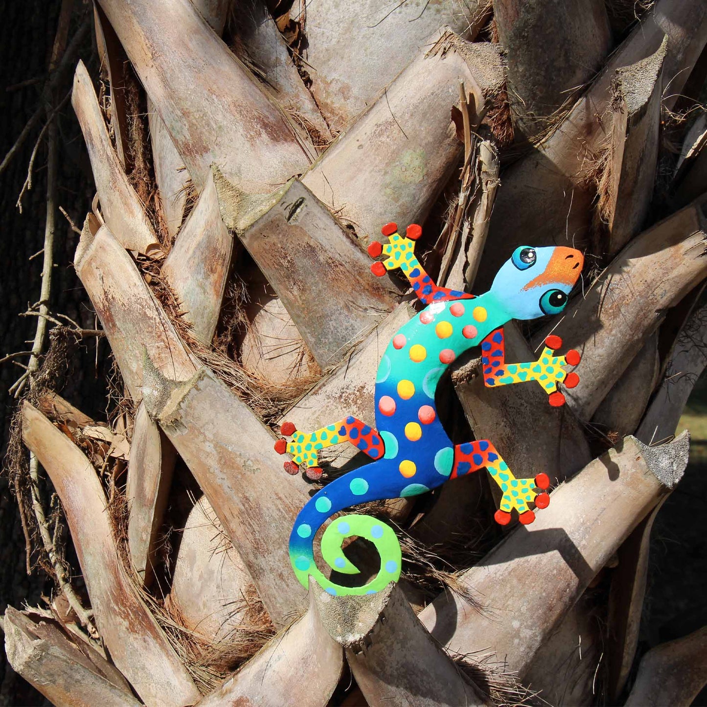 colorful-gecko-haitian-steel-drum-wall-art-13-inch-florida-design